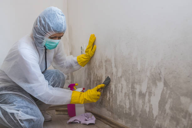 Best Crawl Space Mold Removal  in New Haven, MO