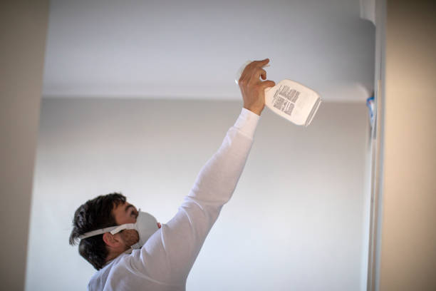 Best Mold Damage Repair  in New Haven, MO